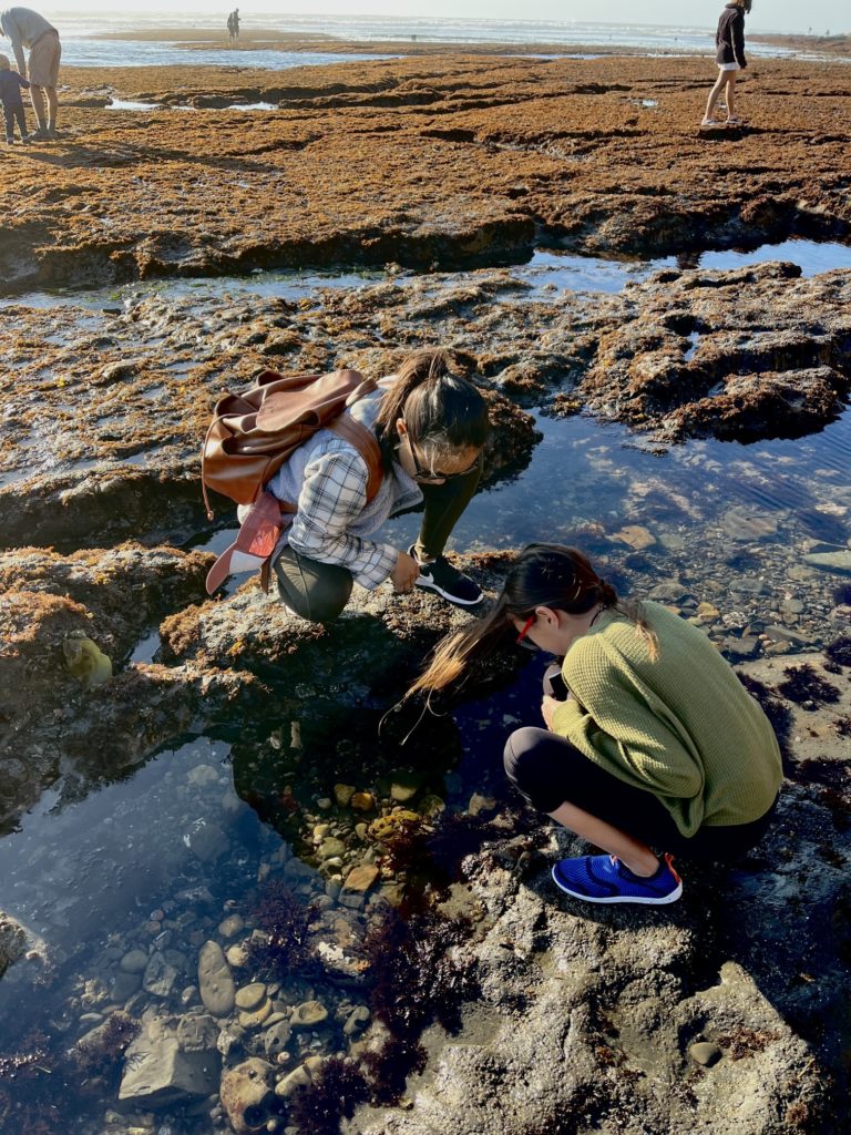 Woman and girls looking into the tide pools at Fitzgerald Marine Reserve in Moss Beach, California