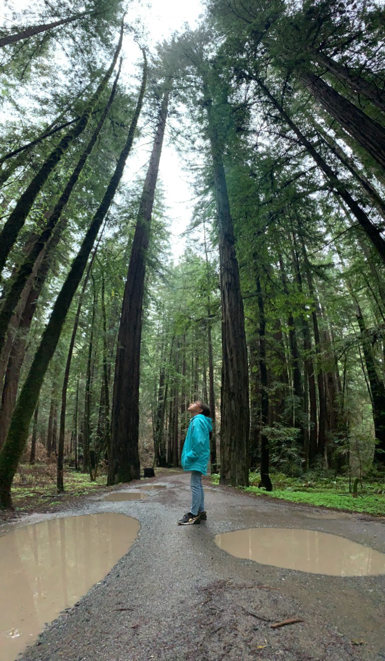 Girl wearing a blue jacket looking up at the redwood trees at Armstrong Redwood State Natural Reserve