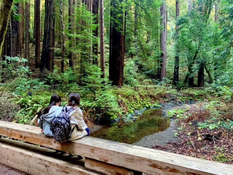 two girls sitting on a bridge over a bridge in Muir Woods National Monument