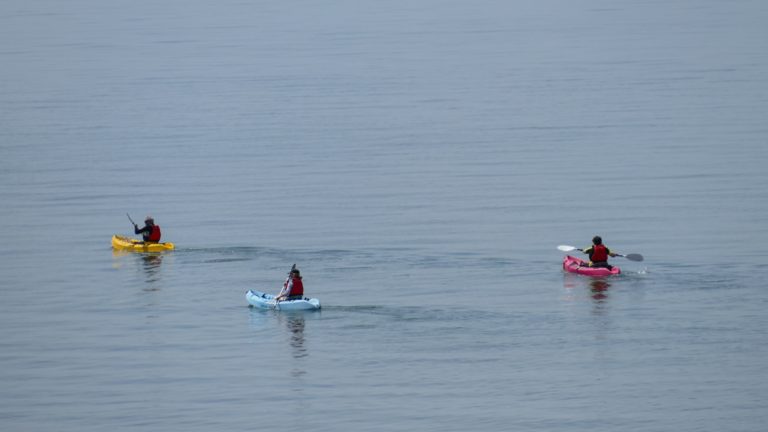 three kayakers on the water