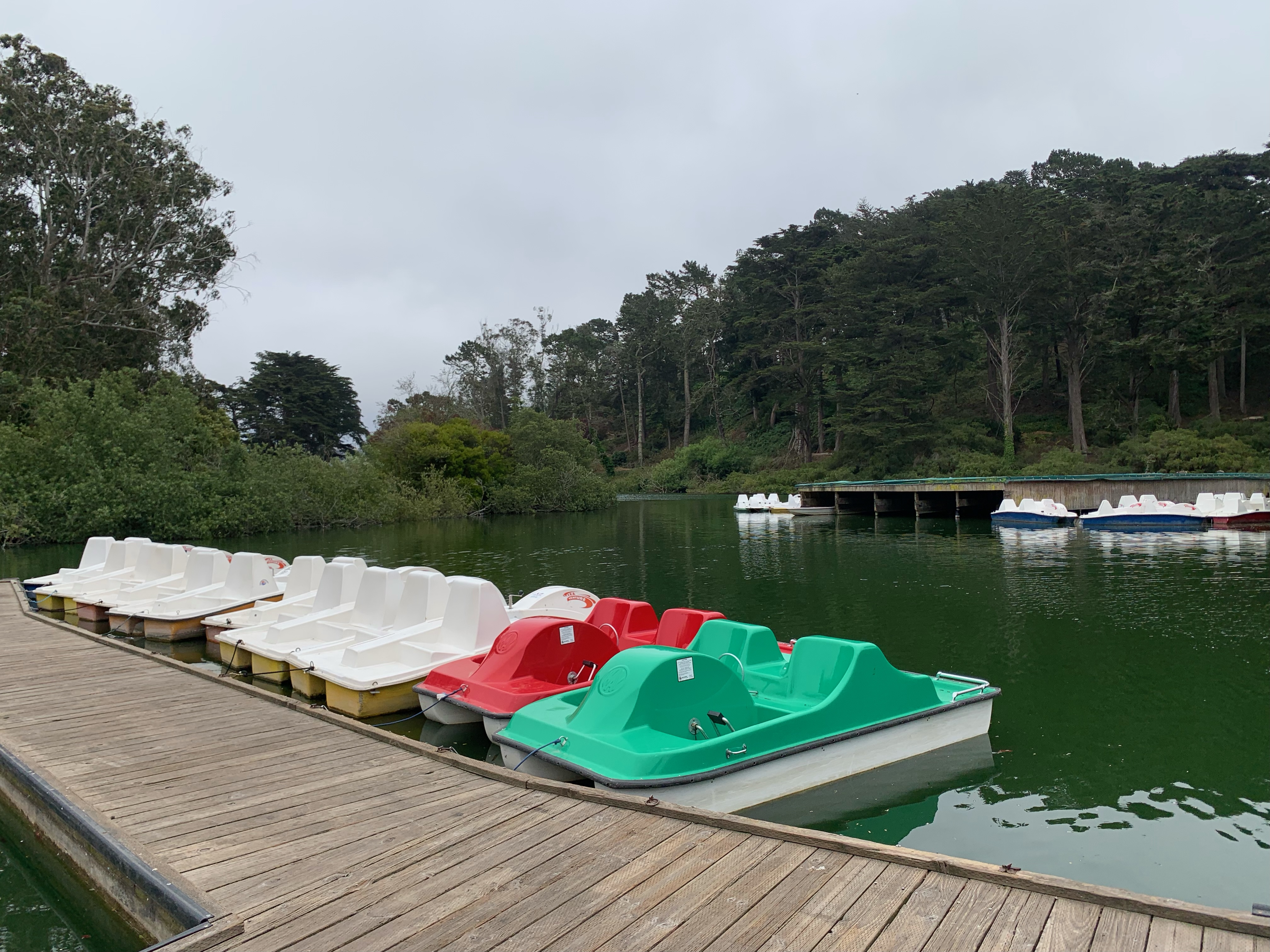 A row of colorful paddle boats at Stow Lake in Golden Gate Park in San Francisco, California