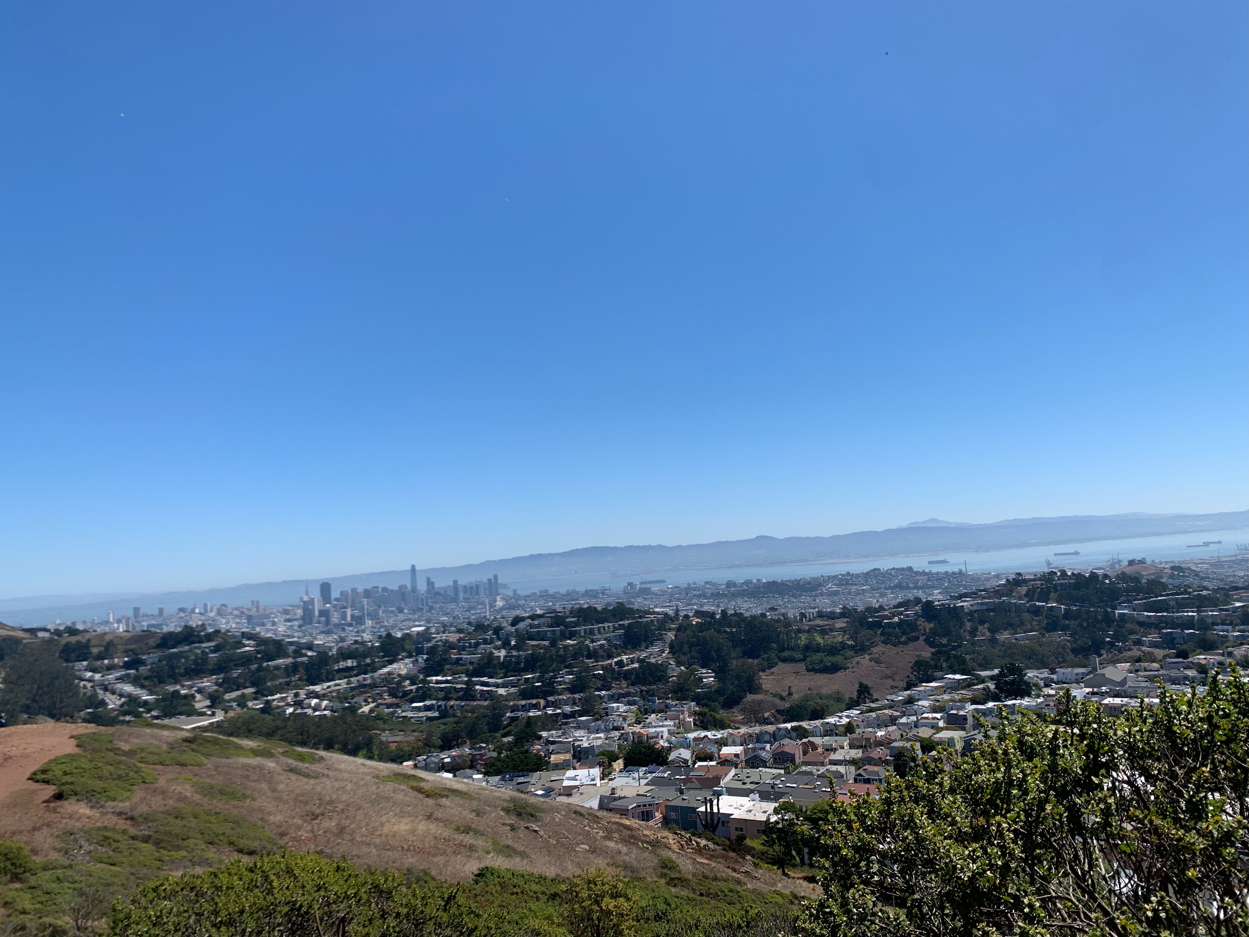 the view of San Francisco from Mount Davidson