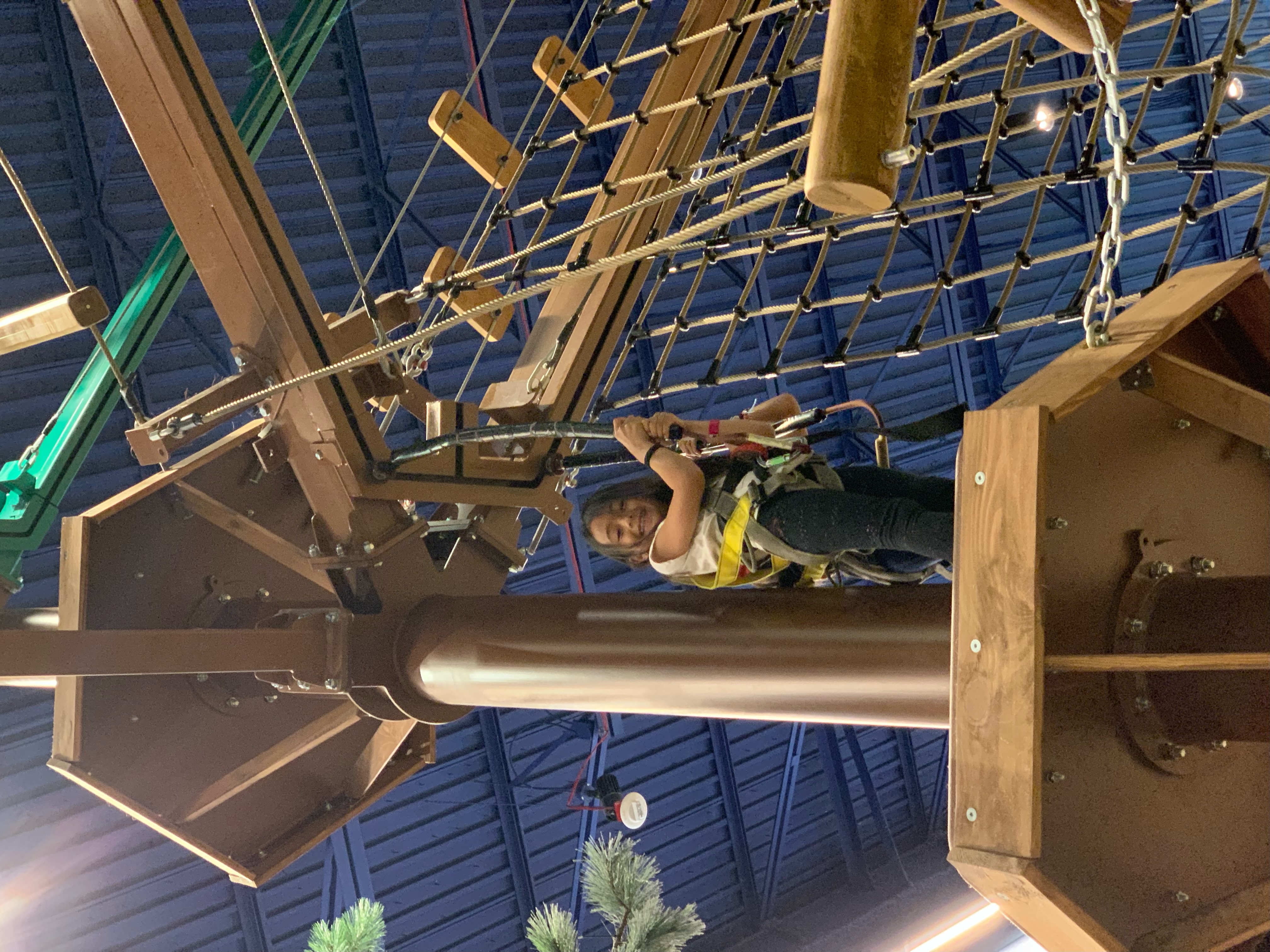 Howlers Peak ropes course at Great Wolf Lodge in Manteca California