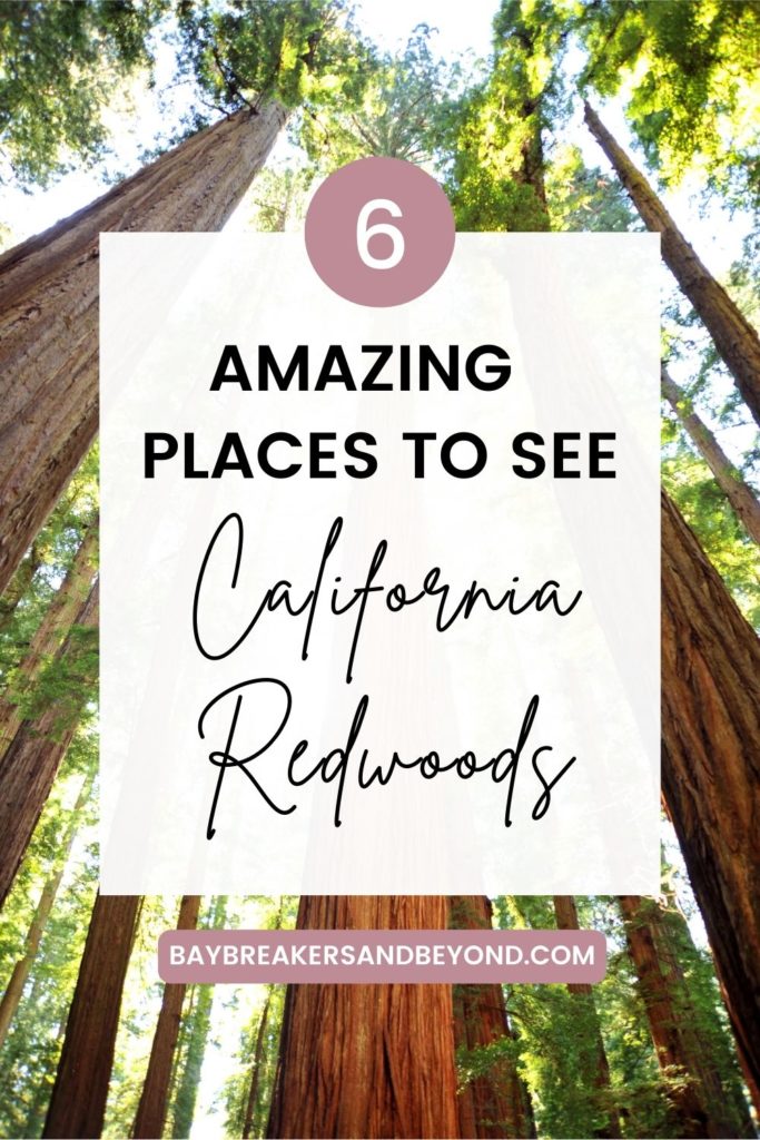 Amazing places to see california redwoods