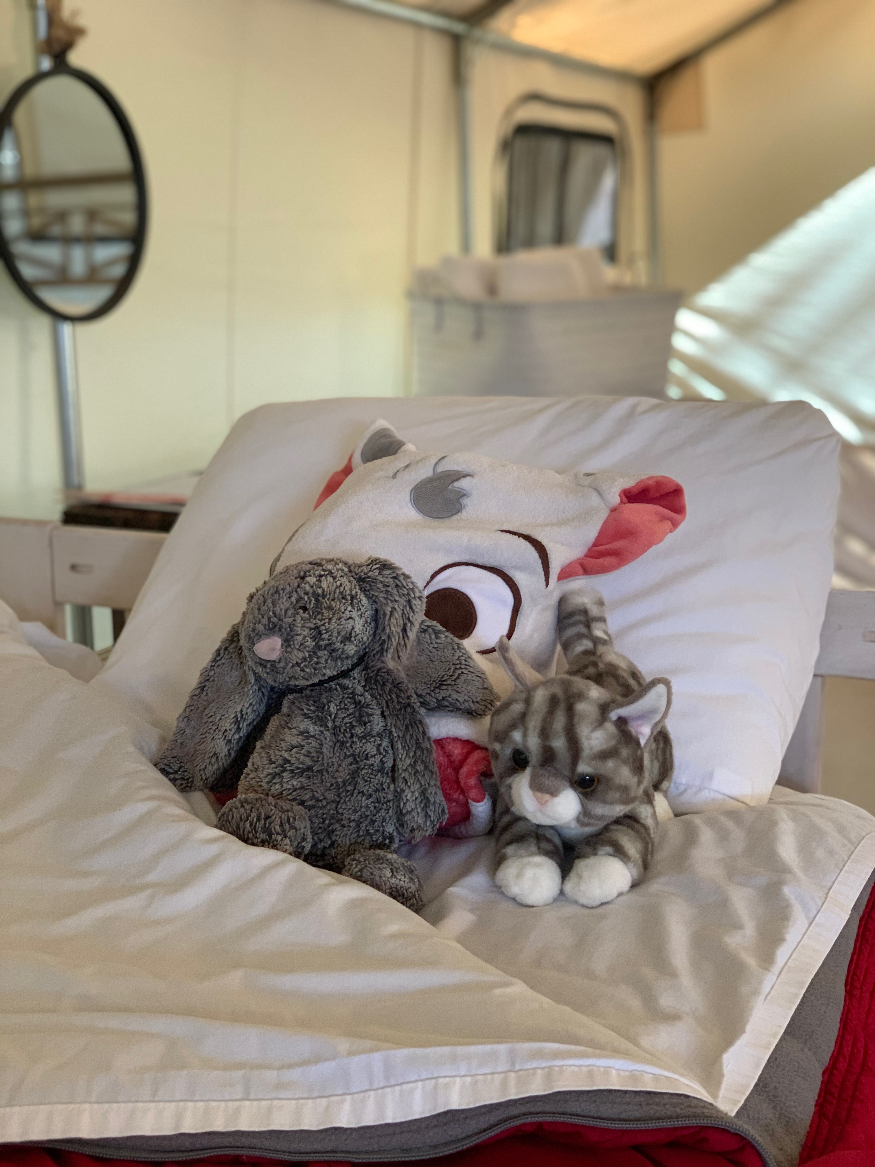 stuffed animals on a bed at Mendocino Grove California