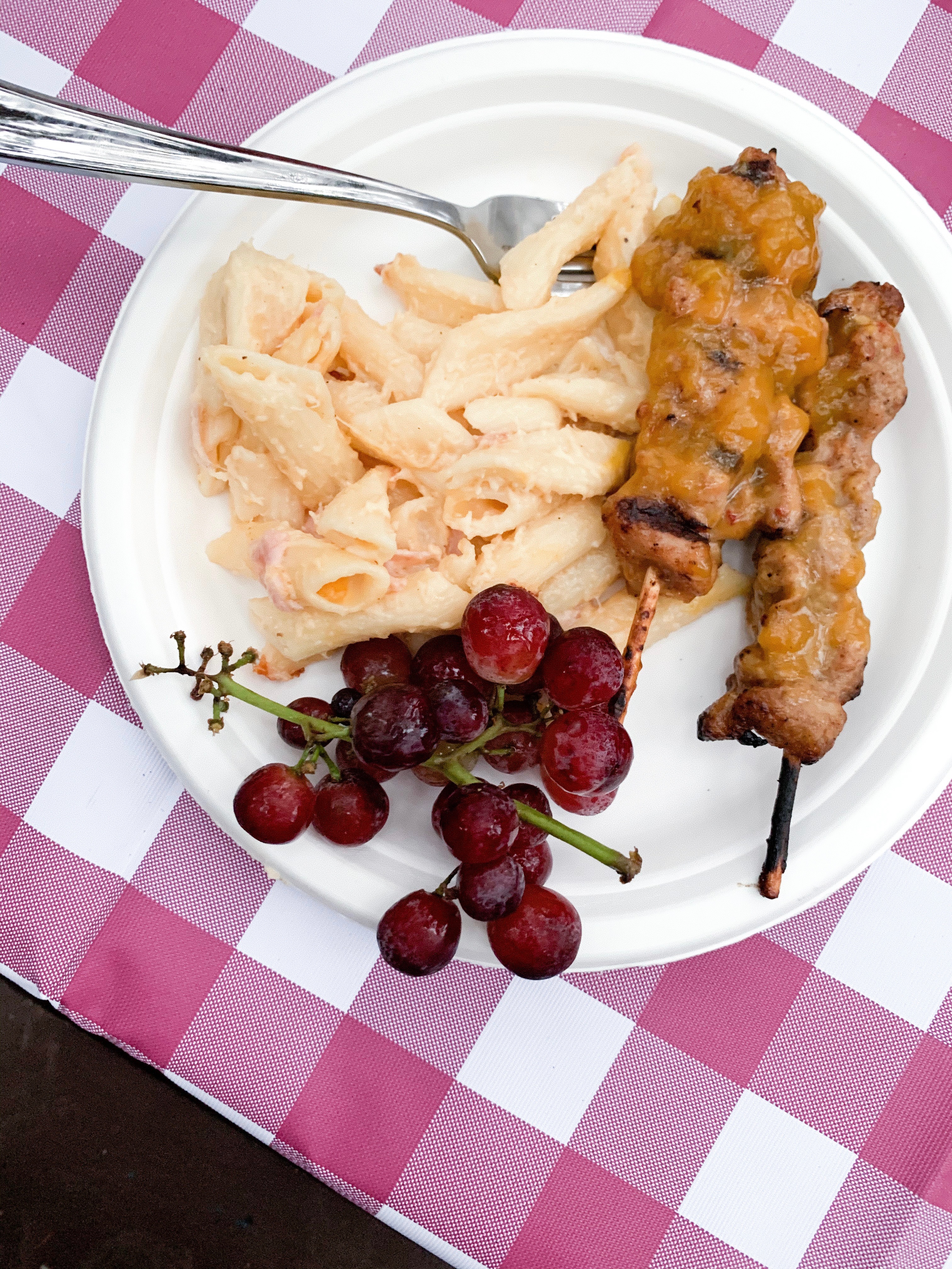 cheesy pasta, chicken skewers and grapes for dinner at Mendocino Grove California