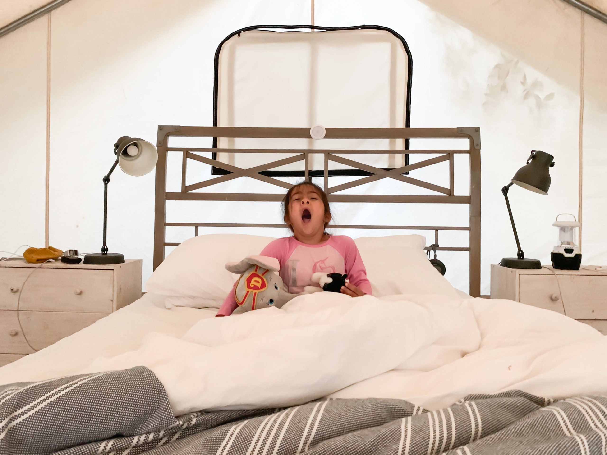 Little girl yawning in bed inside a safari tent at Mendocino Grove California Glamping site
