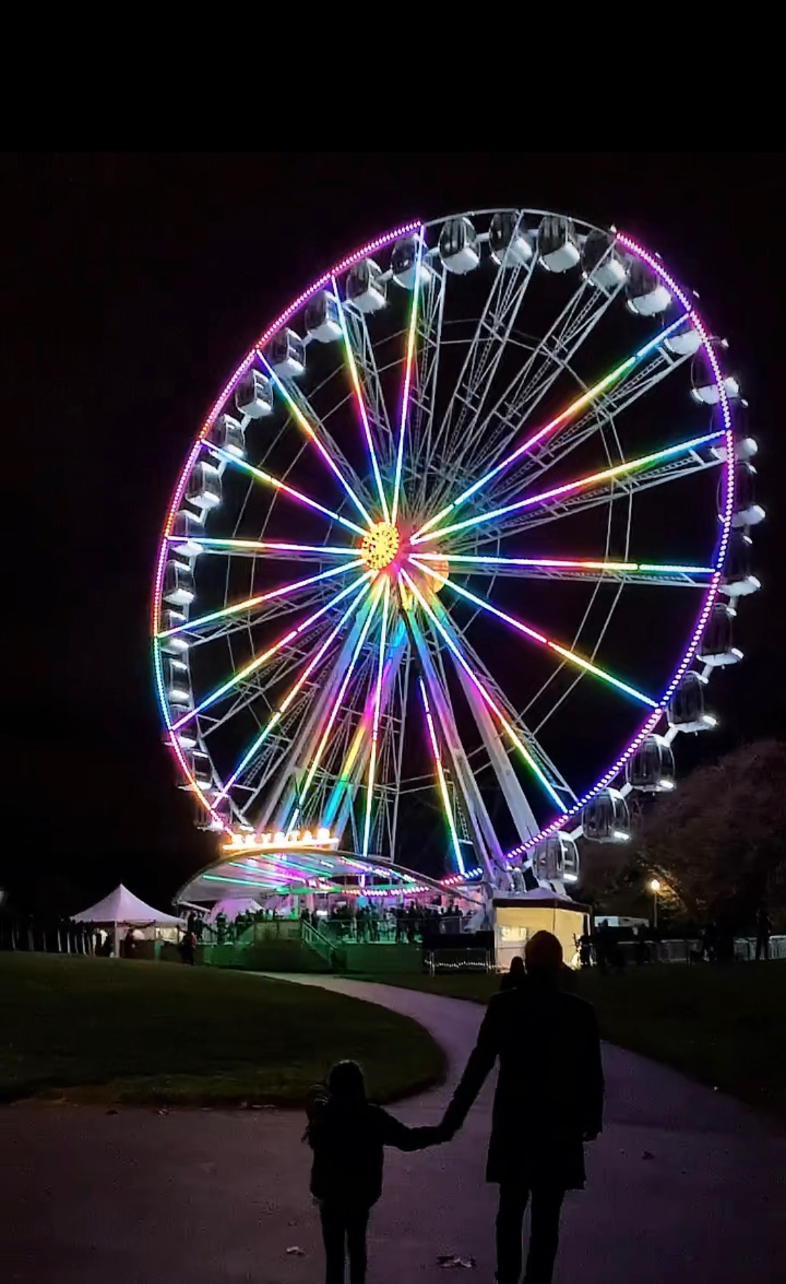 skystar wheel at night in san francisco golden gate park