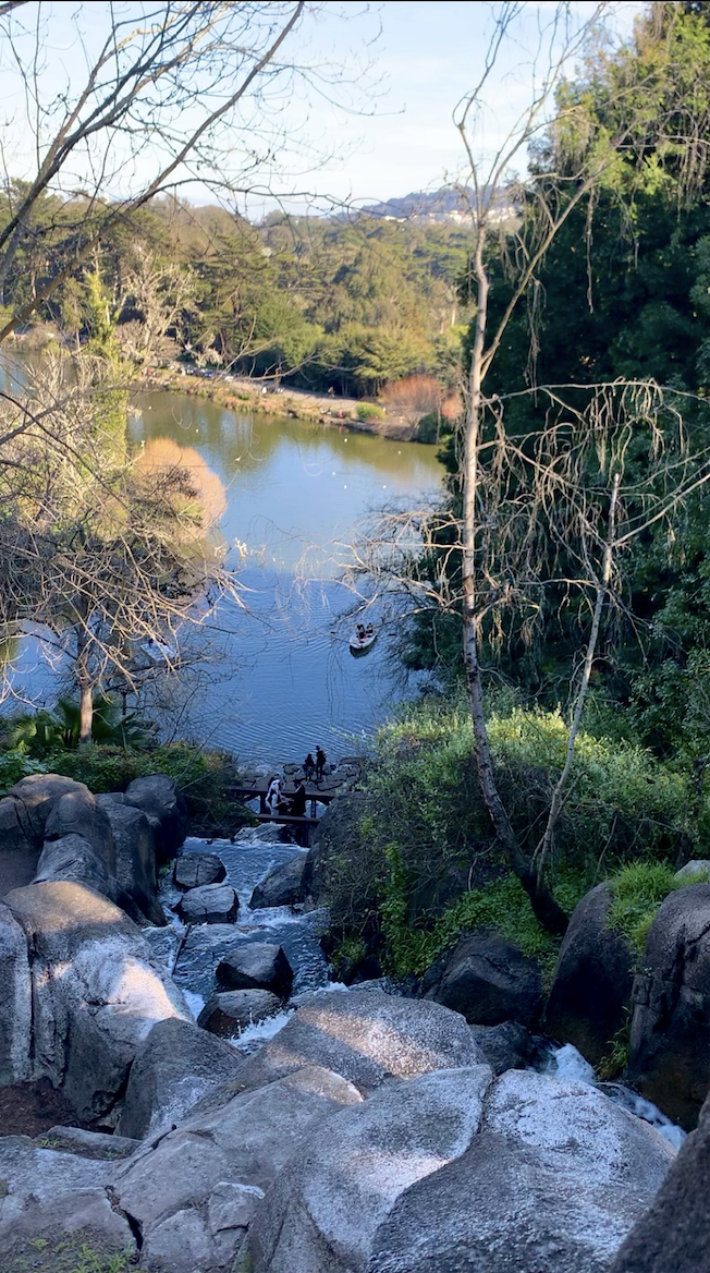 Great view of Stow Lake from the top of Strawberry Hill