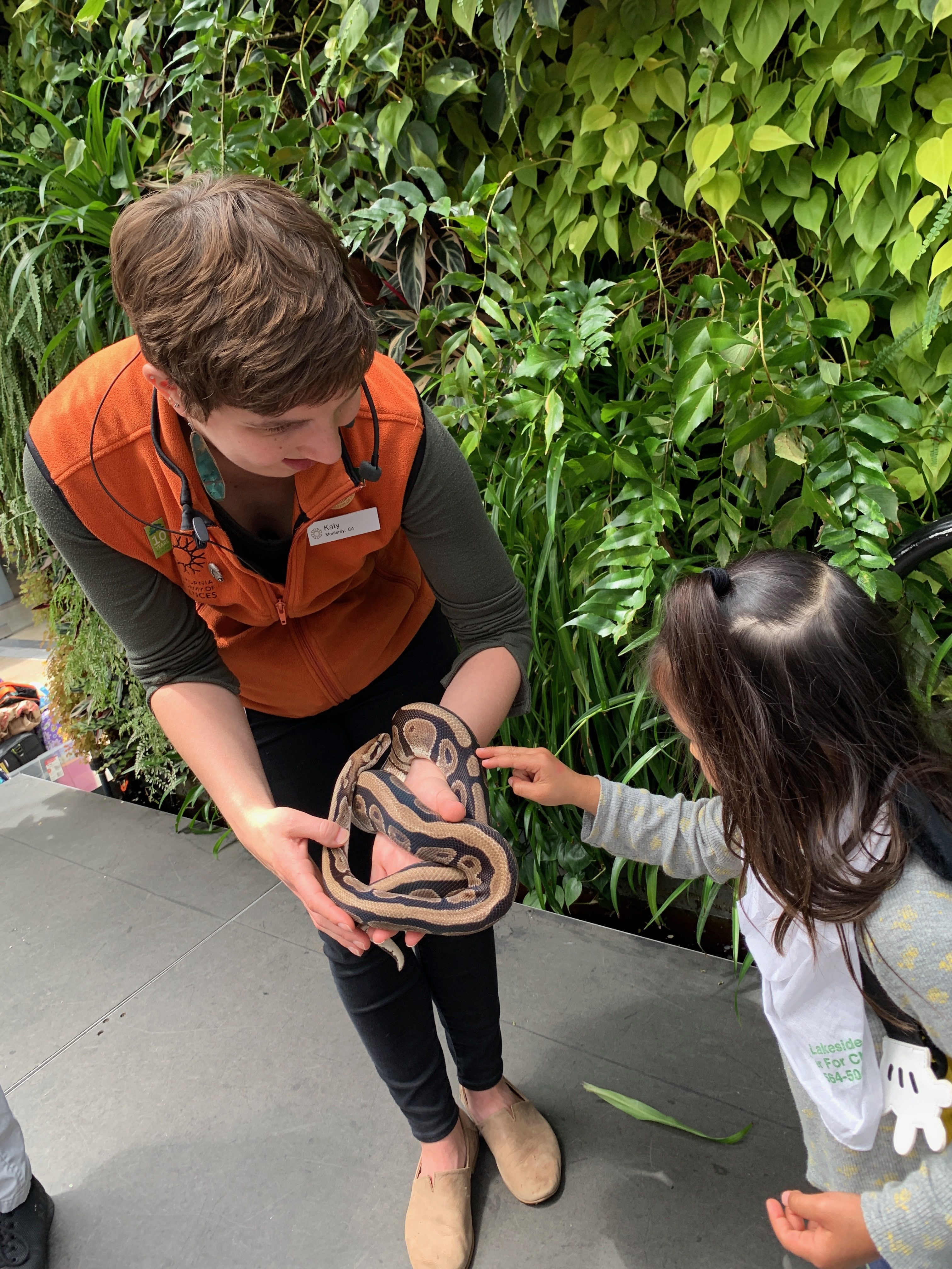 girl petting a snake at the california academy of sciences