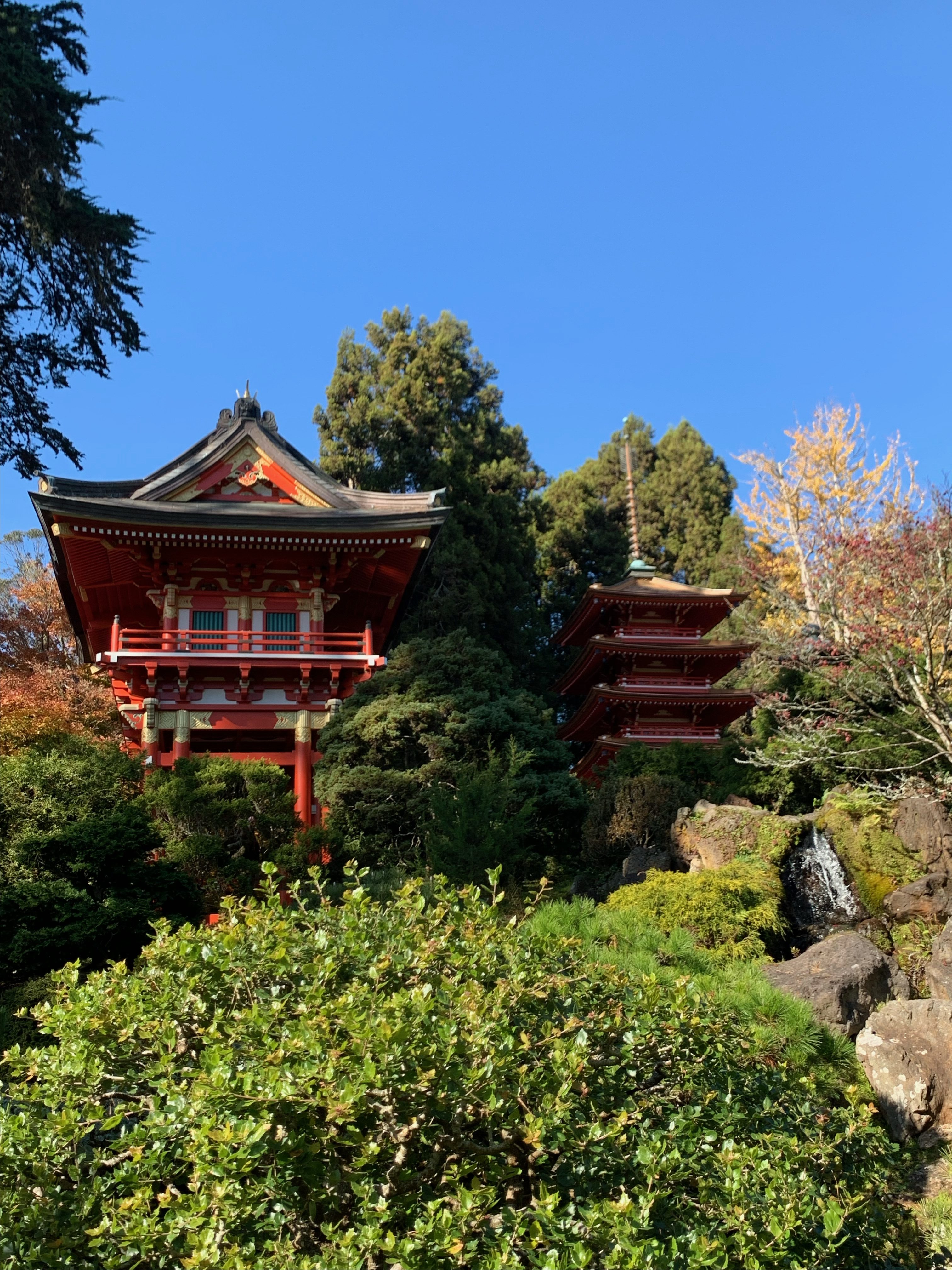 red pagodas at the Japanese Tea Garden in San Francisco
