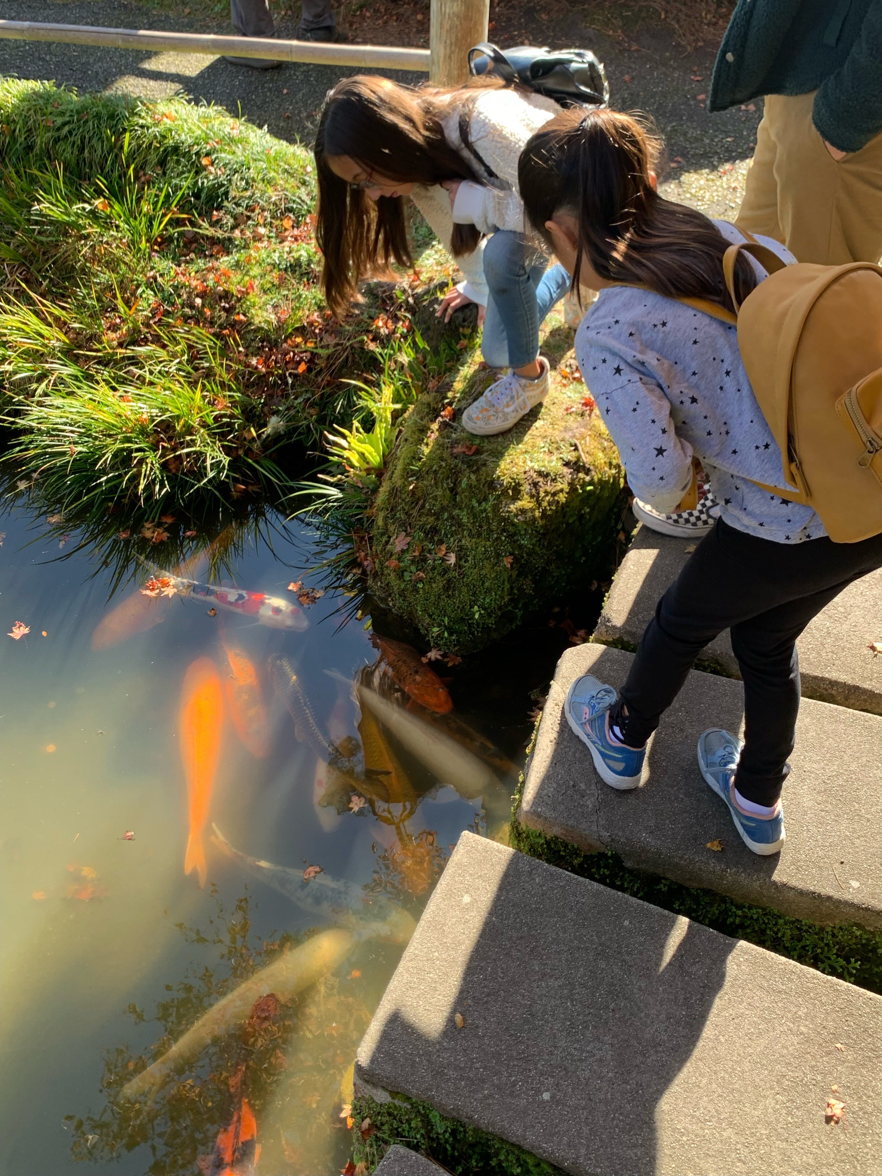 girls watching the koi fish at the San Francisco Japanese Tea Garden