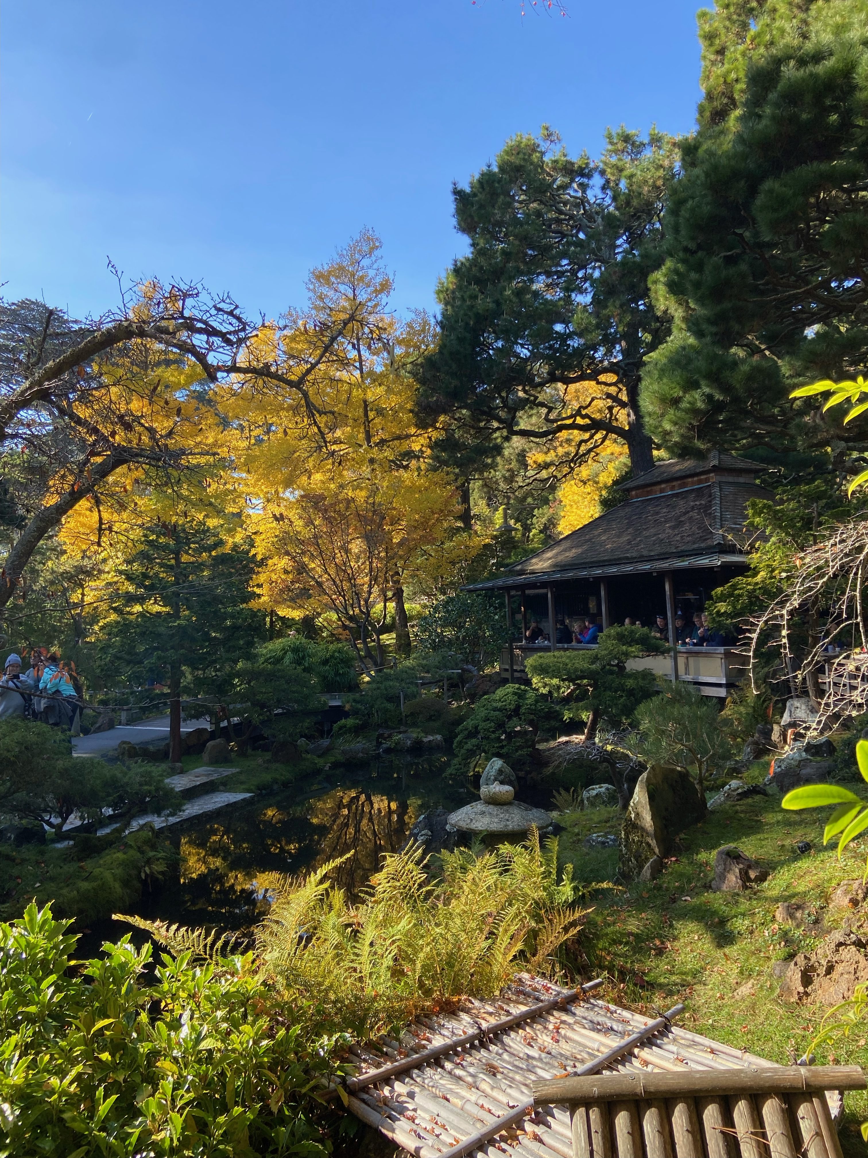 san francisco japanese tea garden