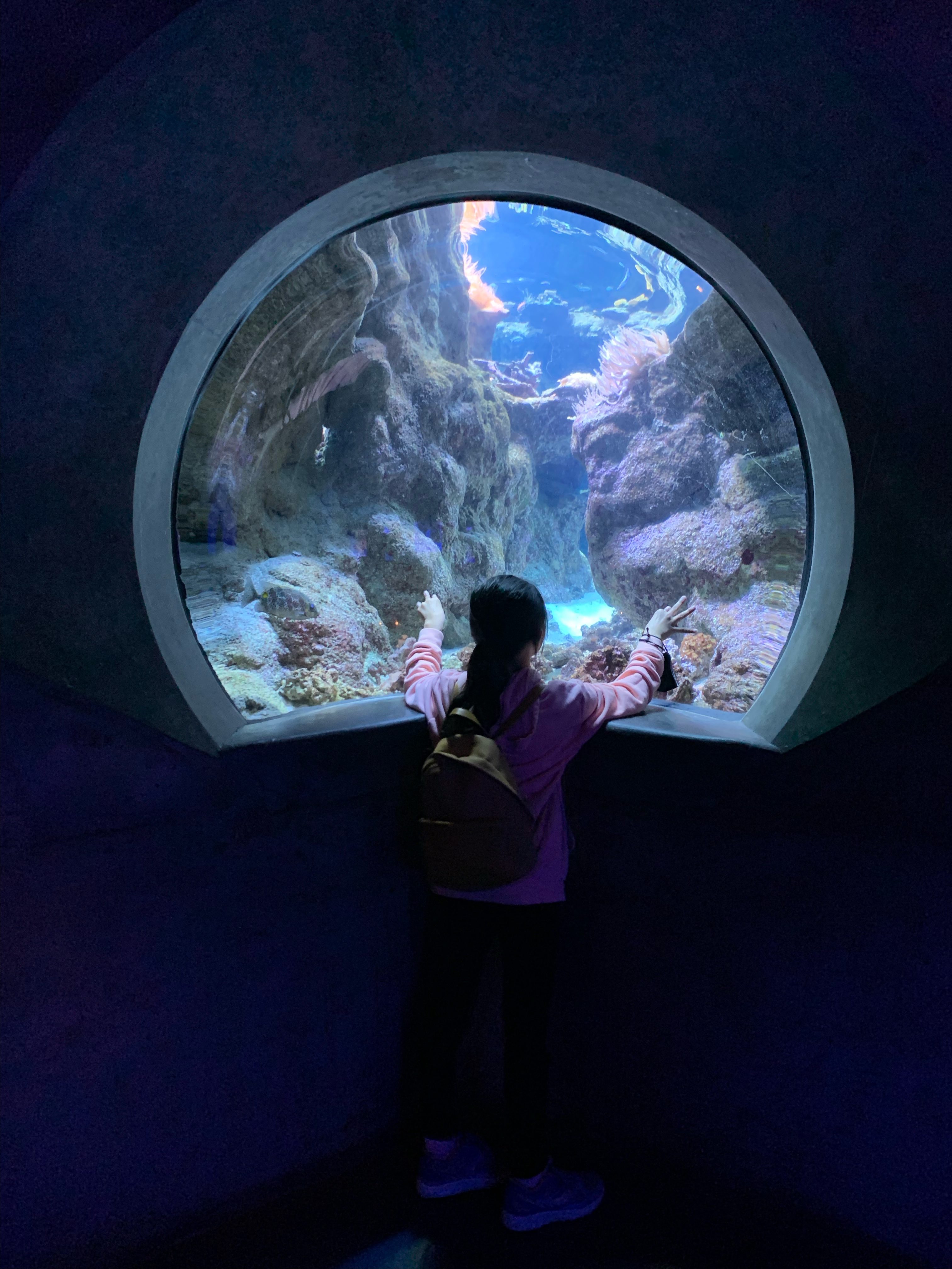 Girl at the aquarium of the california academy of sciences