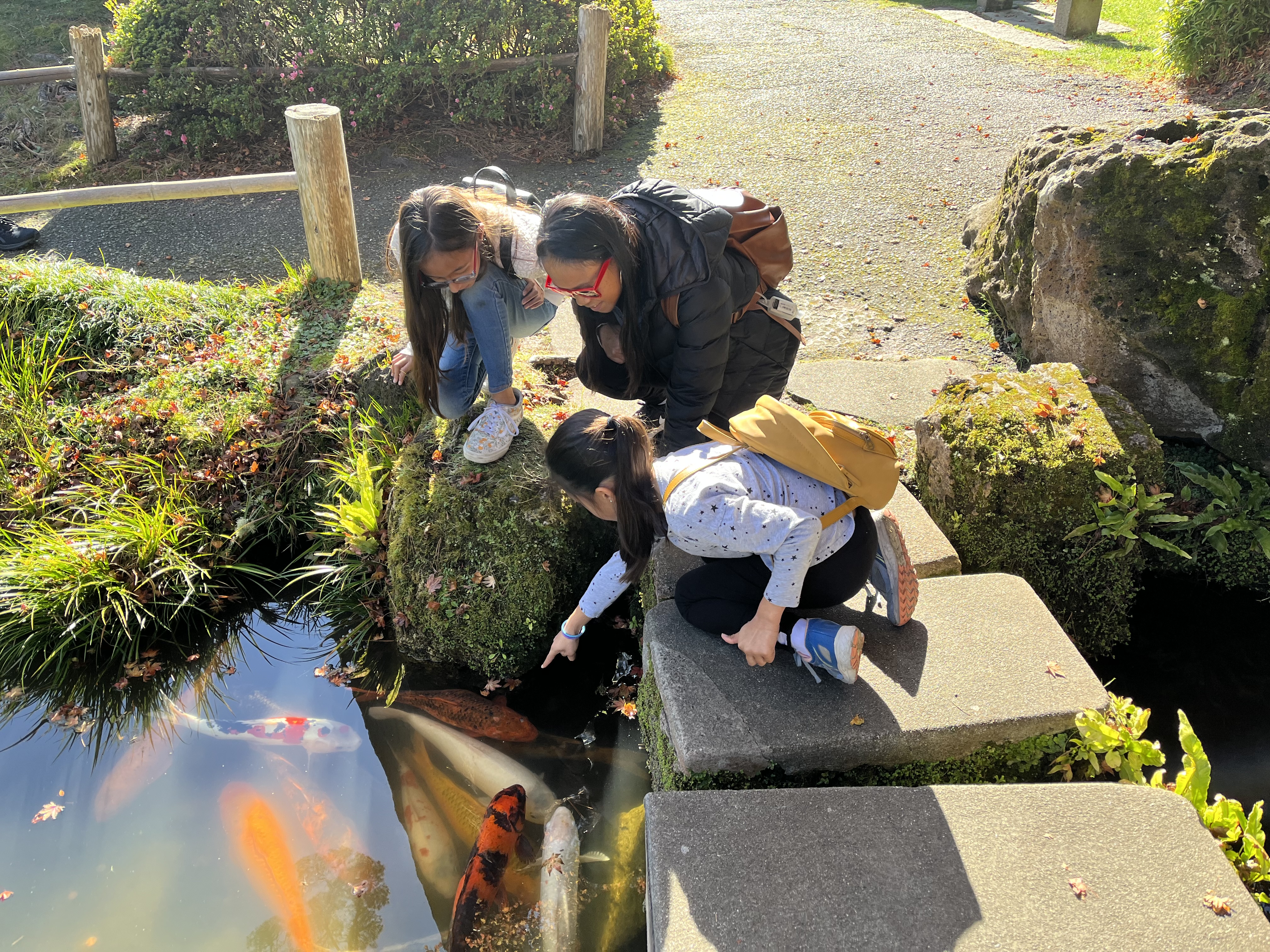 family looking at koi fish and the japanese tea garden