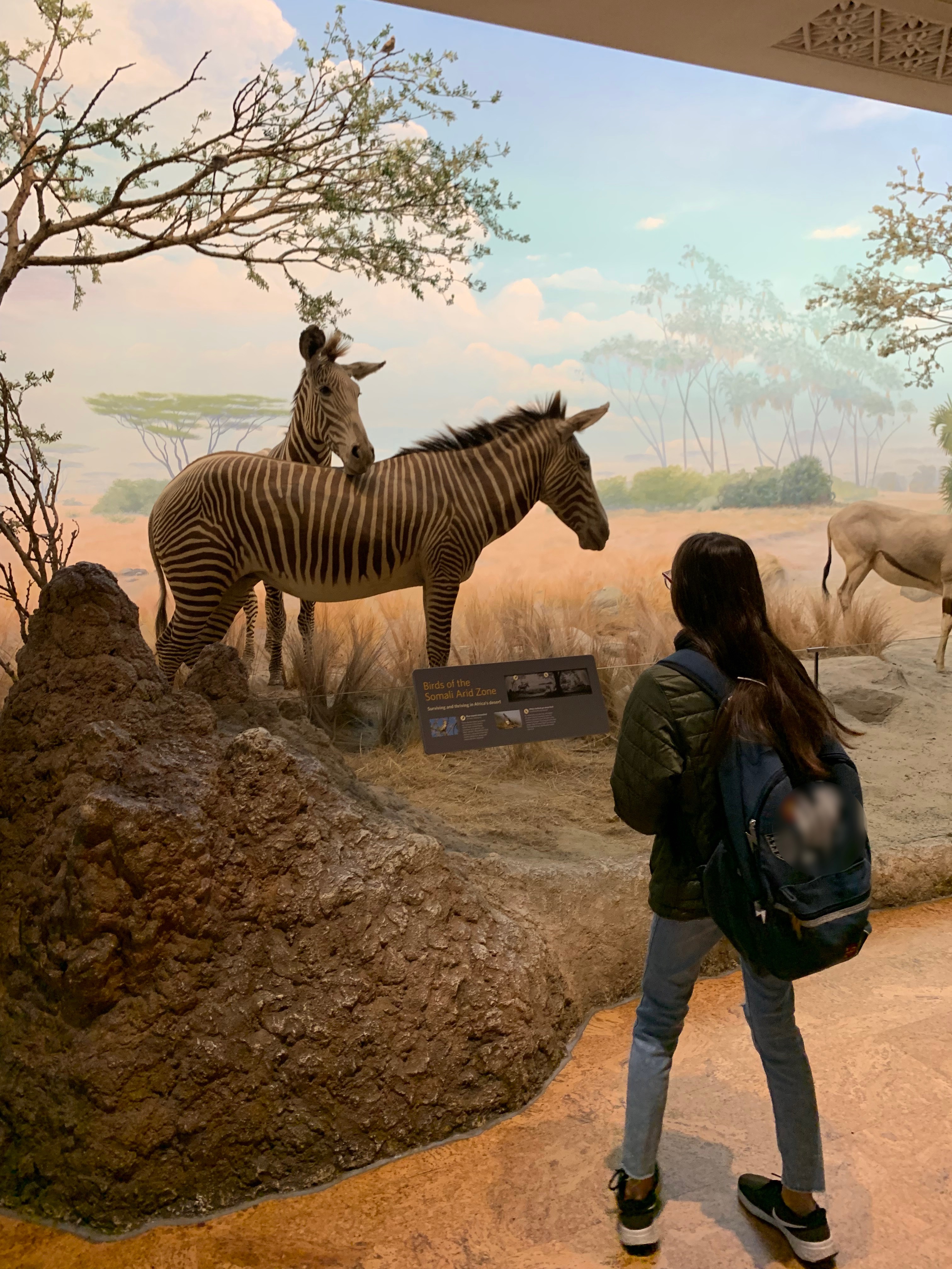 Girl at the African Hall Exhibit at the Academy of Sciences