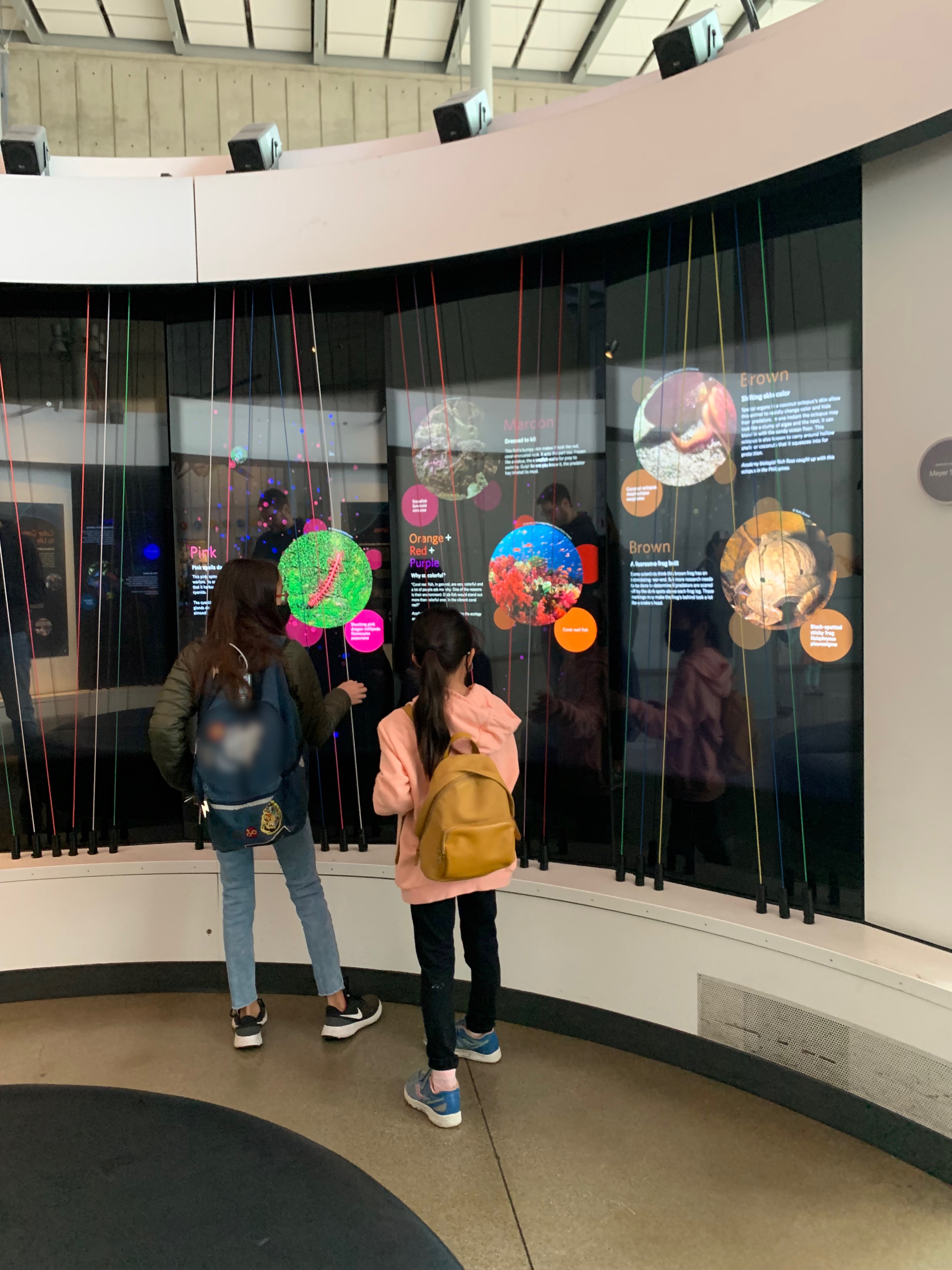 two girls at the academy of sciences