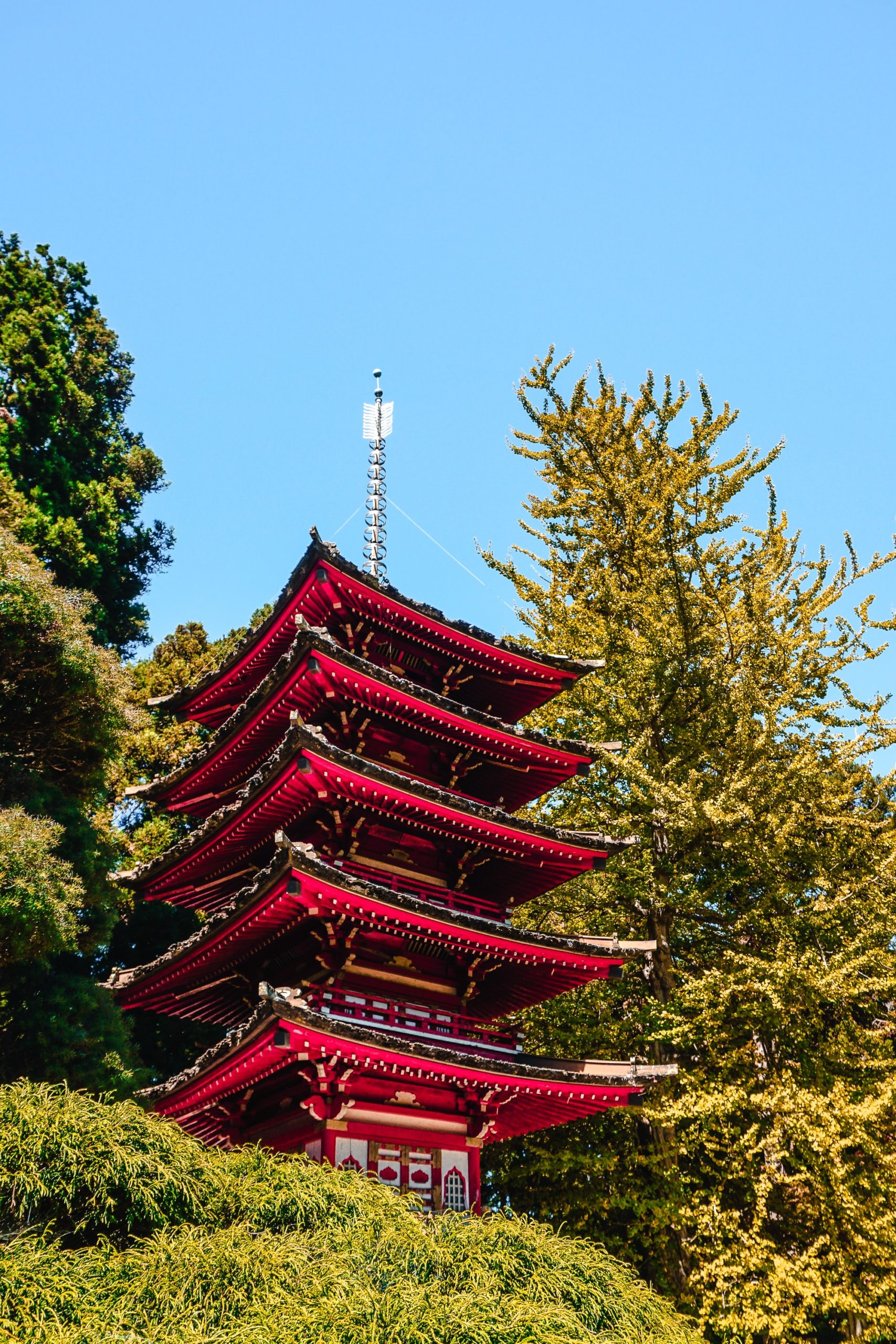 pagoda at japanese tea garden