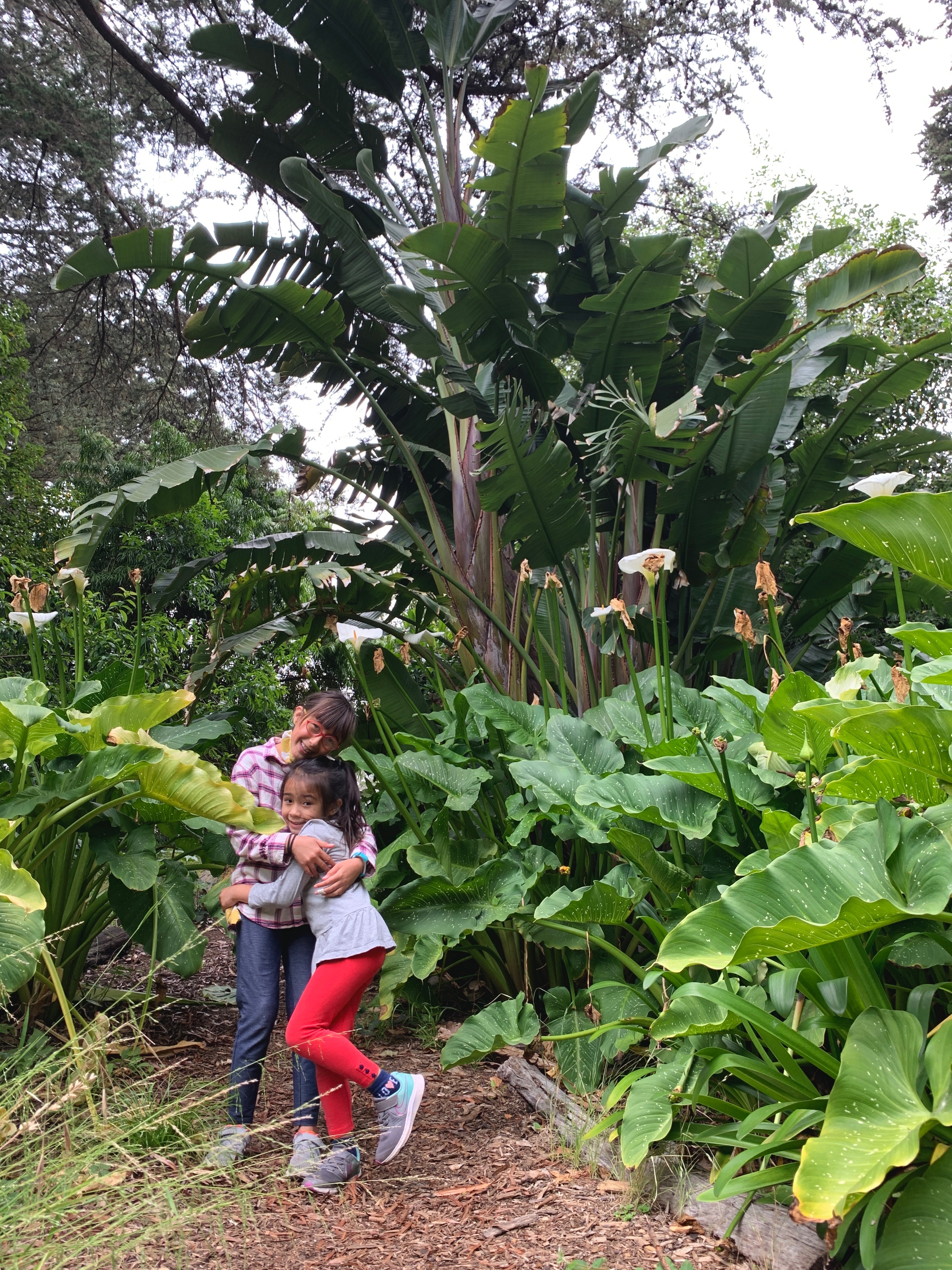 kids hugging at the san francisco botanical garden