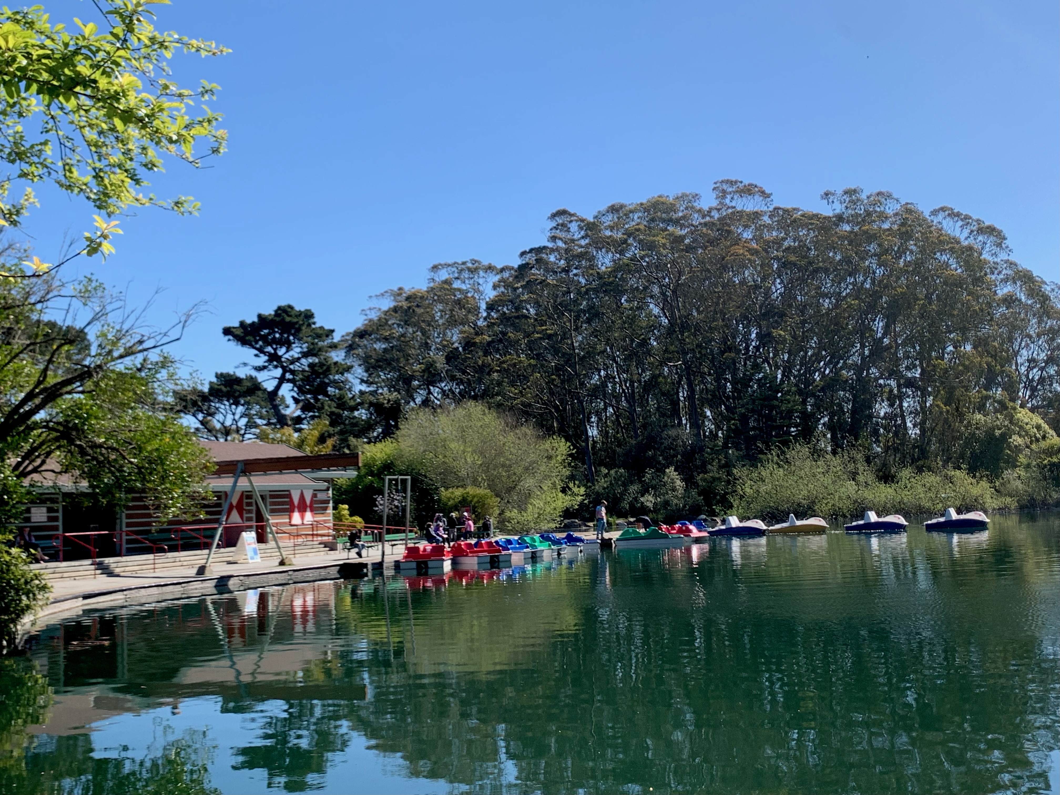 Stow Lake with the boat house and pedal boats