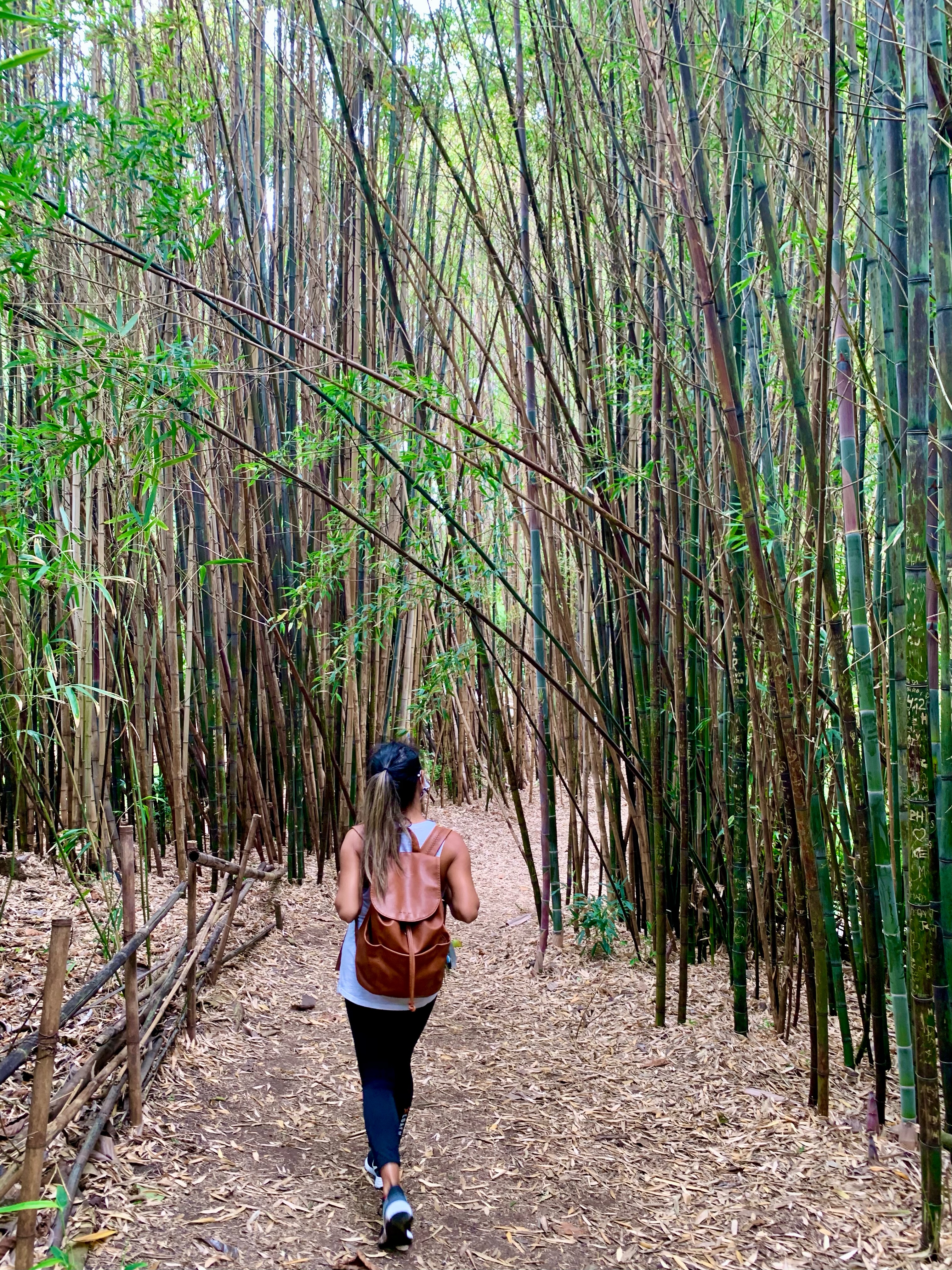 woman walking through bamboo forest
