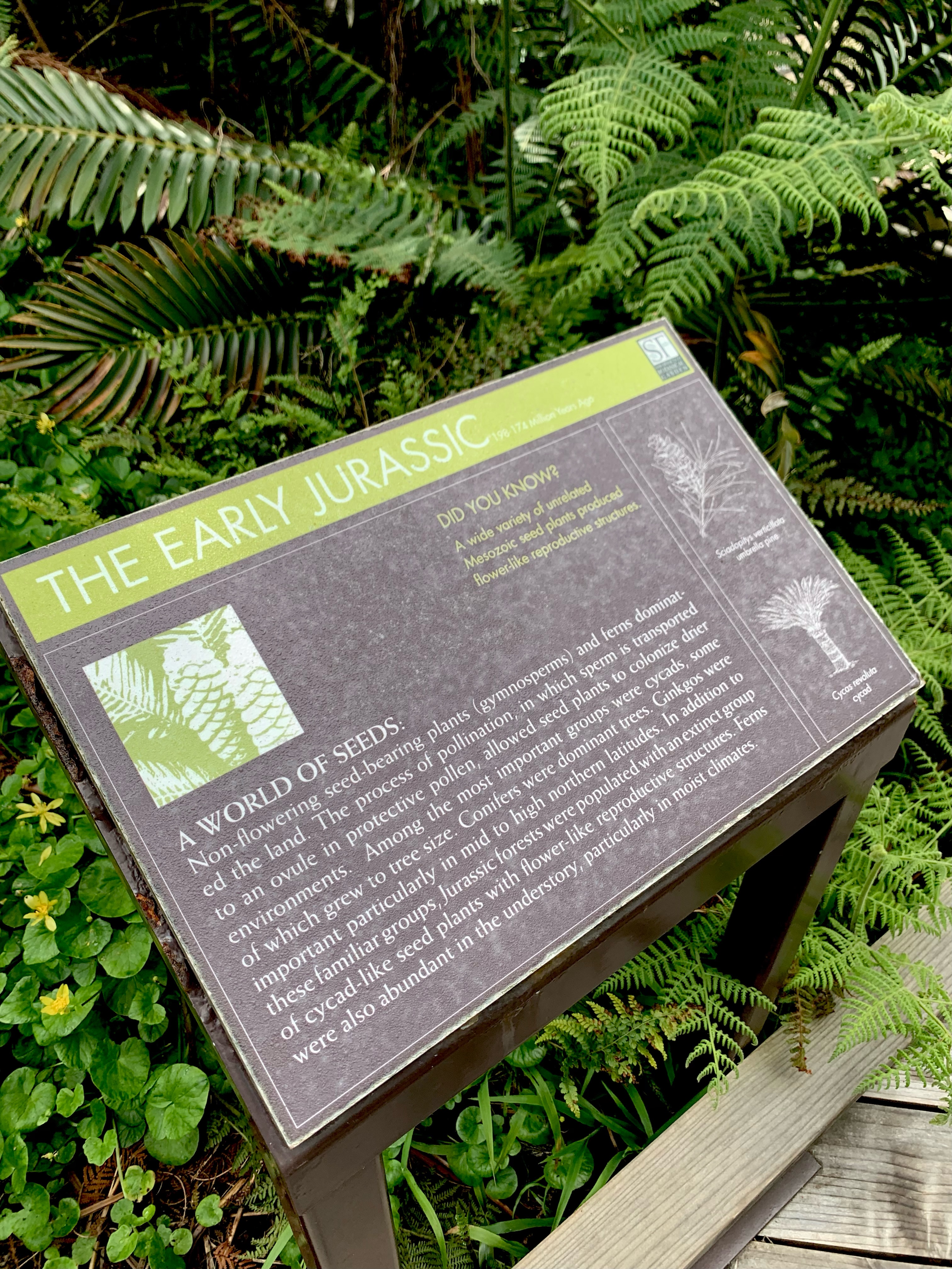 sign about the jurassic era