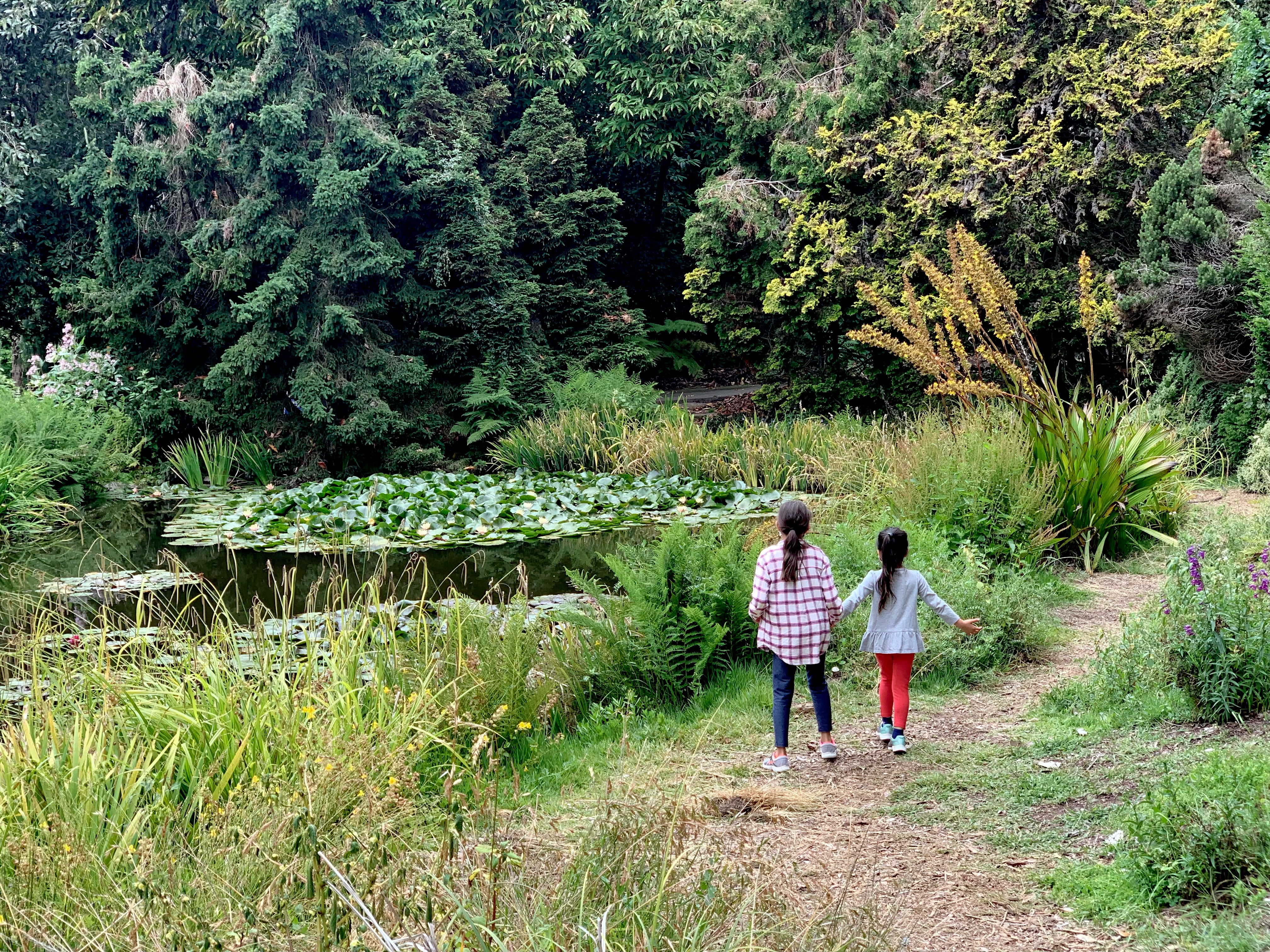two girls walking through the san francisco botanical garden