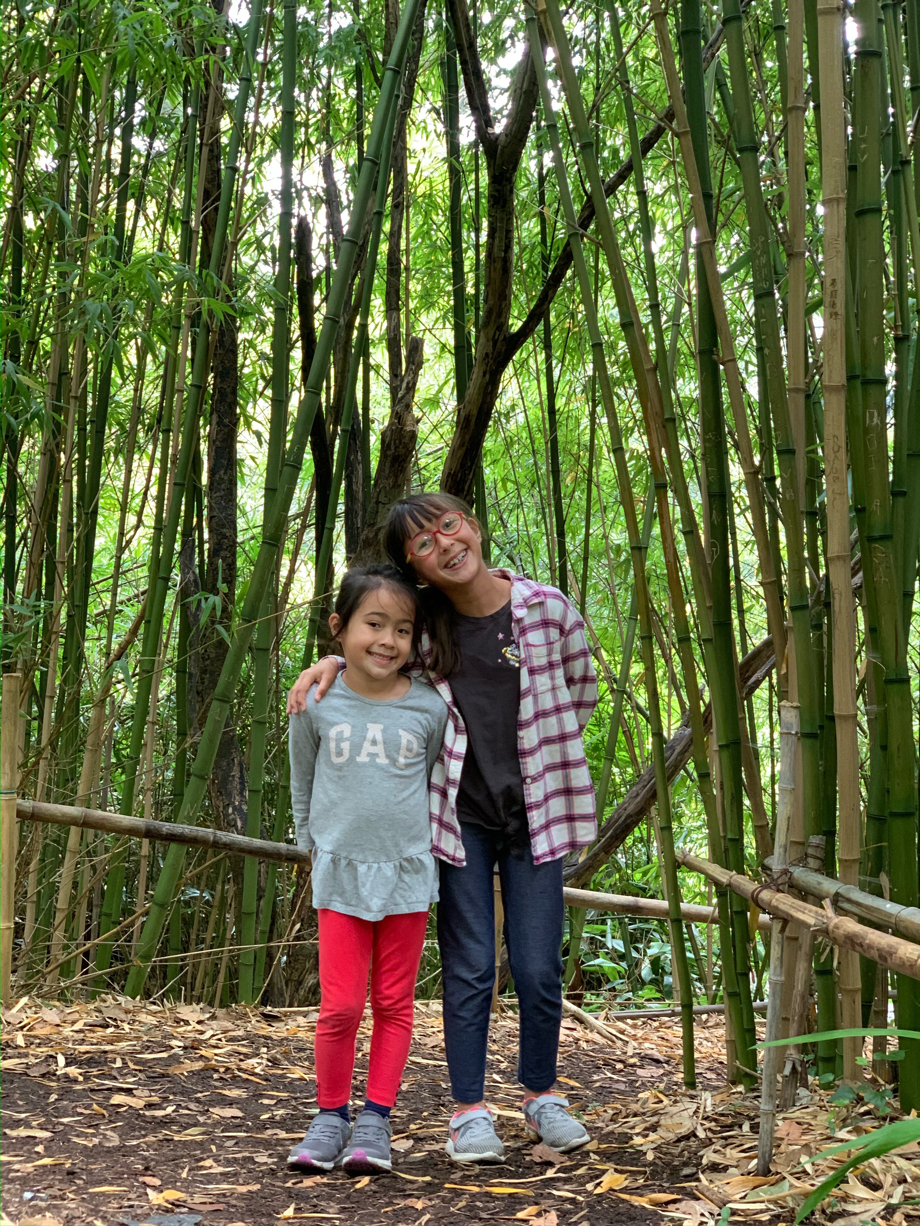 two girls in a bamboo forest