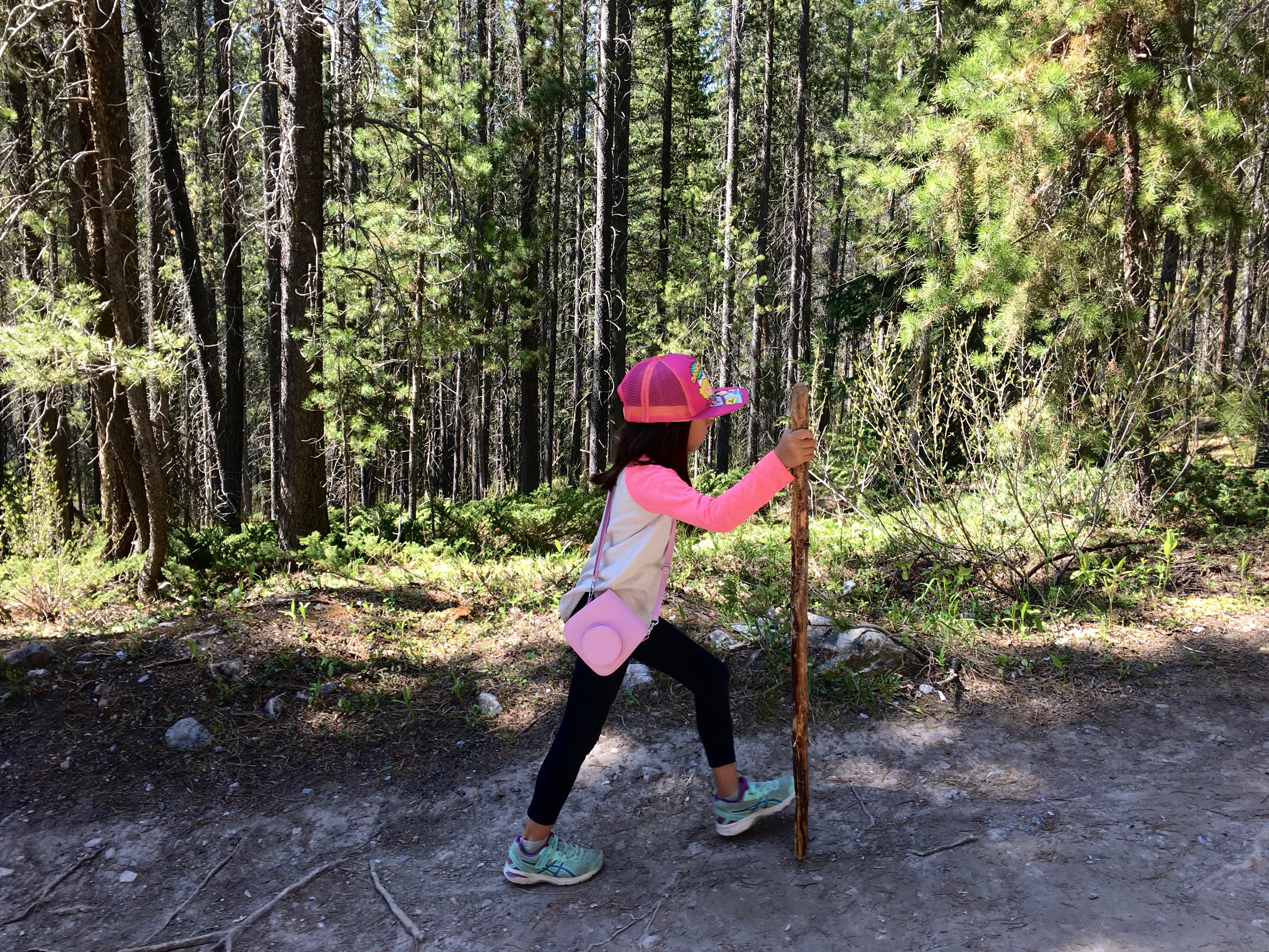 girl wearing a pink hat, hiking with a walking stick