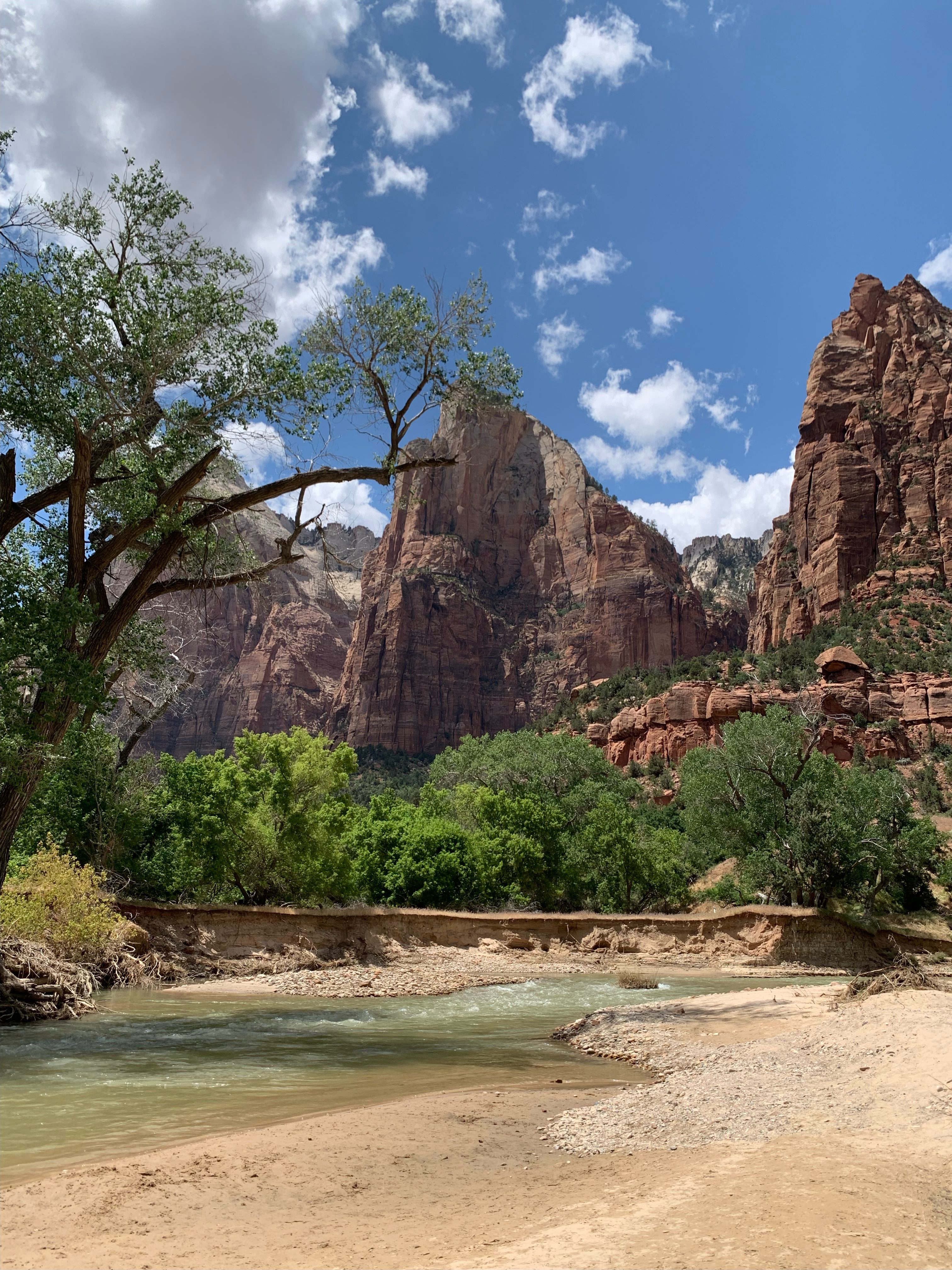 Zion National Park: Court of the Patriarchs and the Virgin River
