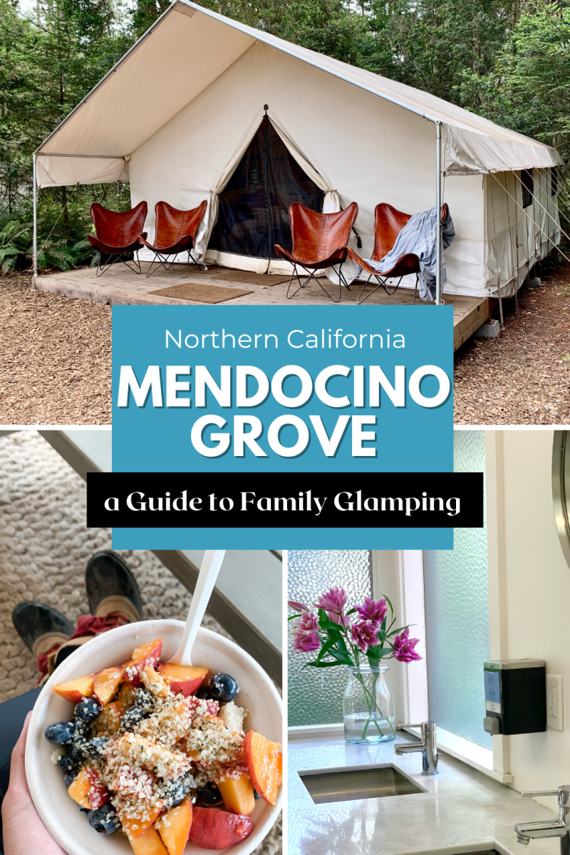 Northern California Mendocino Grove: A guide to Family Glamping